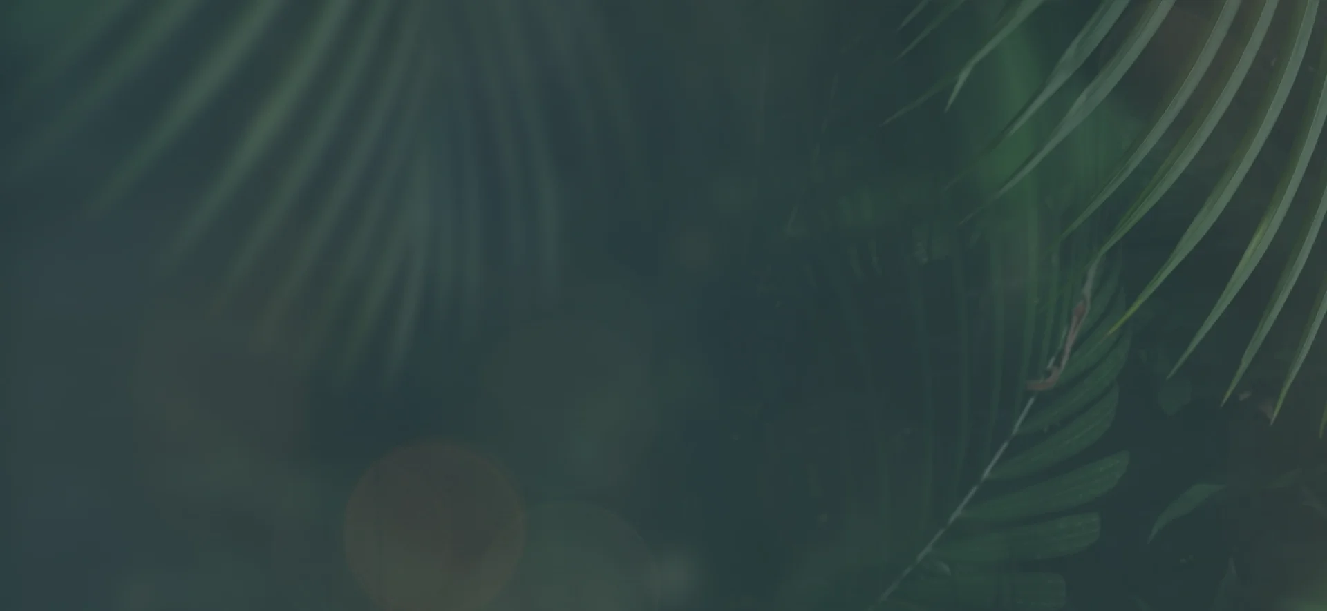 no thing to see here